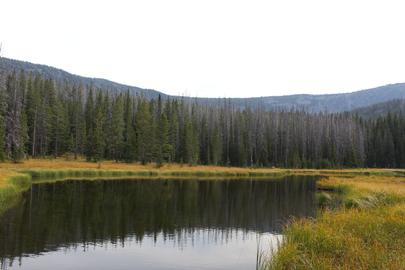 TIZER LAKES